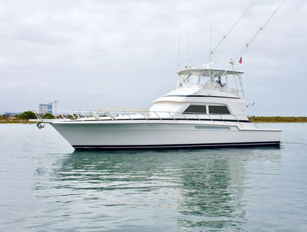 Bertram 54 Convertible image