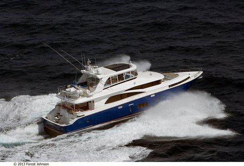 Johnson Motor Yacht w/Fishing Cockpit image