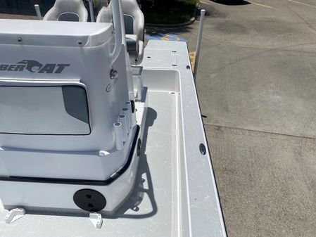 Gulf-coast SABER-CAT image