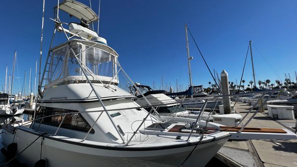 Innovator SPORTFISHER