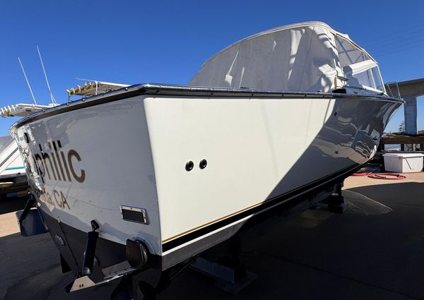 Bertram 28 Moppie image