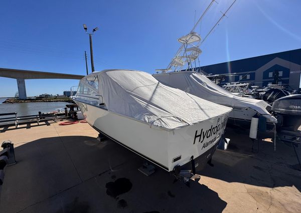 Bertram 28 Moppie image