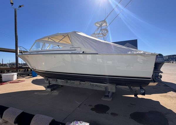 Bertram 28 Moppie image