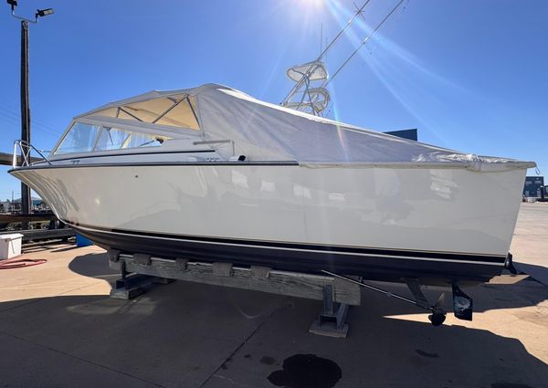 Bertram 28 Moppie image