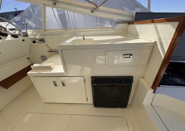 Bertram 28 Moppie image