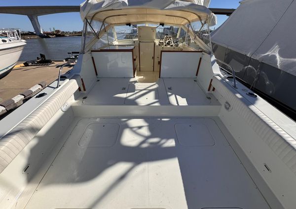 Bertram 28 Moppie image