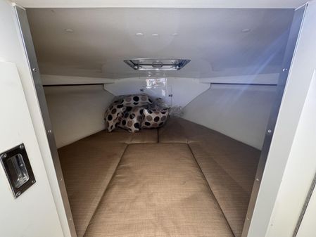 Bertram 28 Moppie image