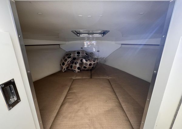 Bertram 28 Moppie image