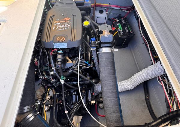 Bertram 28 Moppie image