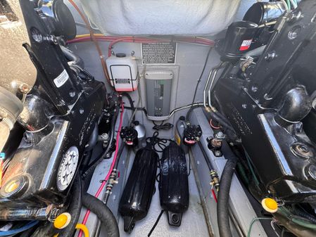 Bertram 28 Moppie image