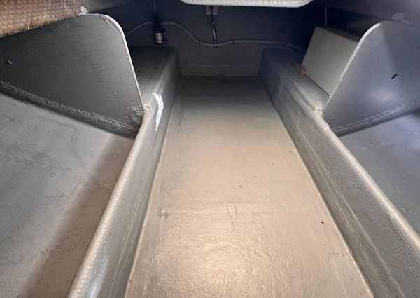 Bertram 28 Moppie image