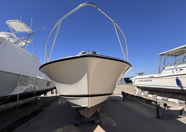 Bertram 28 Moppie image