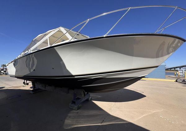 Bertram 28 Moppie image