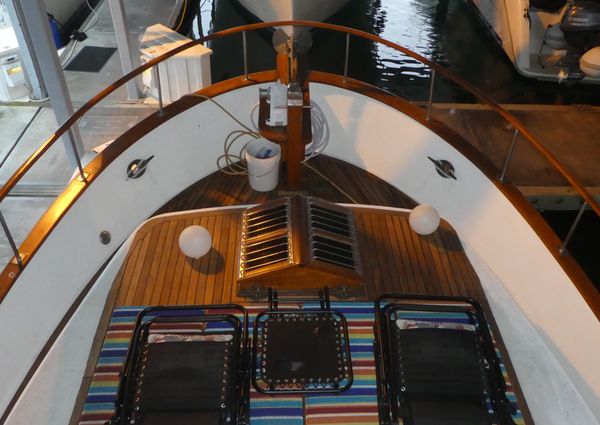 Marine-trader 41-TRI-CABIN image