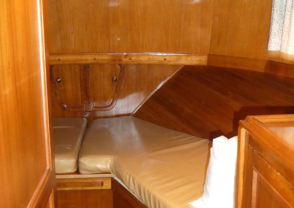 Marine-trader 41-TRI-CABIN image