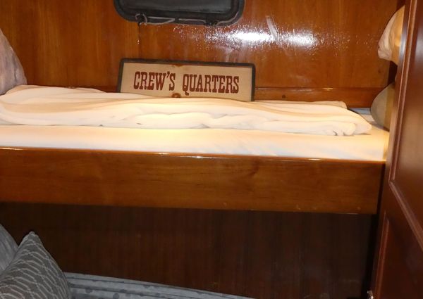 Marine-trader 41-TRI-CABIN image