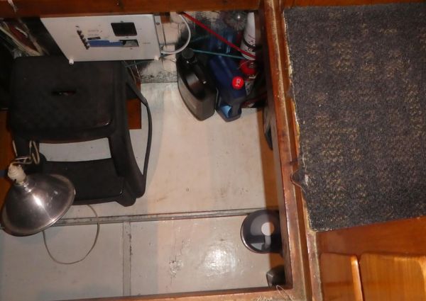 Marine-trader 41-TRI-CABIN image