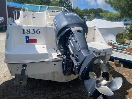 Robalo R225 Walkaround image