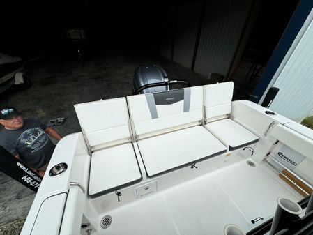 Robalo R230 image