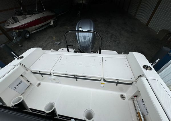 Robalo R230 image