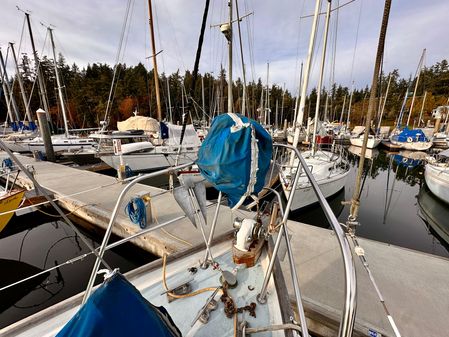 Bruce Roberts Coast image