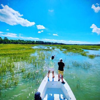 Andros 26 Tarpon image