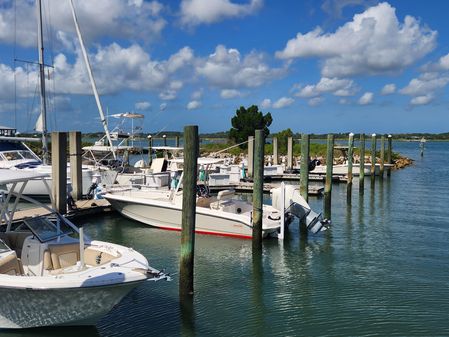 Boston Whaler 250 Dauntless image