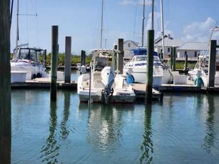 Boston Whaler 250 Dauntless image