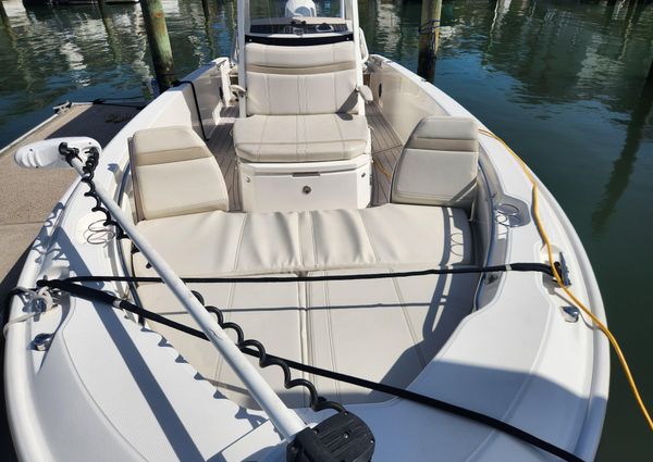 Boston Whaler 250 Dauntless image