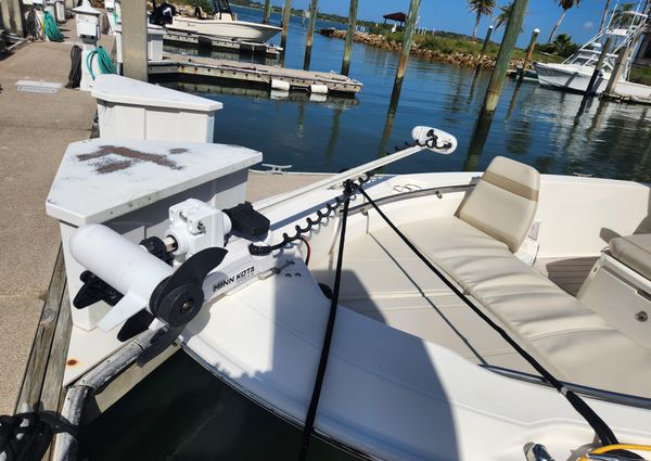 Boston Whaler 250 Dauntless image