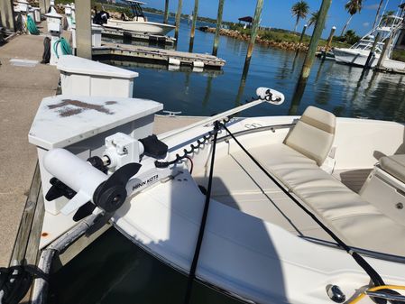 Boston Whaler 250 Dauntless image