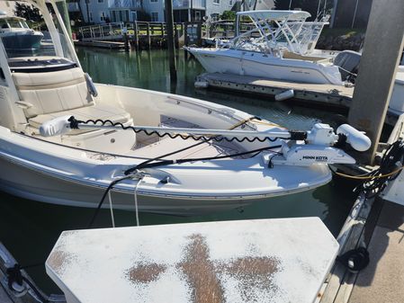 Boston Whaler 250 Dauntless image