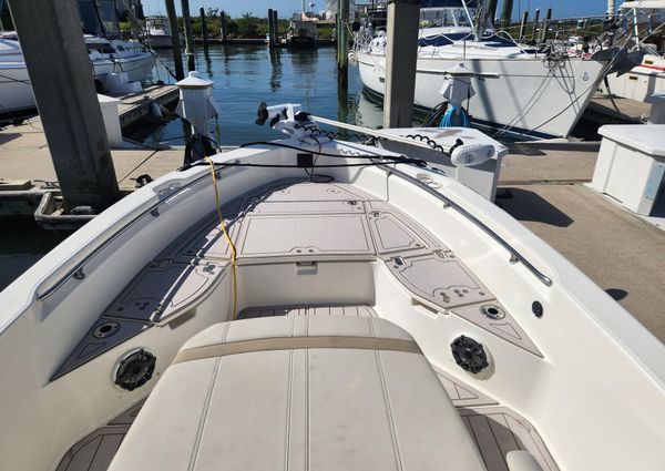 Boston Whaler 250 Dauntless image