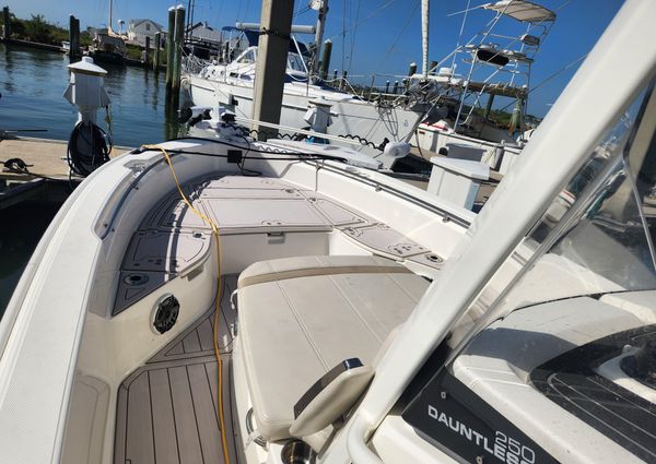 Boston Whaler 250 Dauntless image