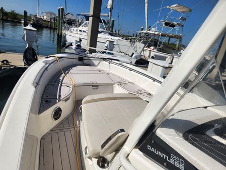 Boston Whaler 250 Dauntless image