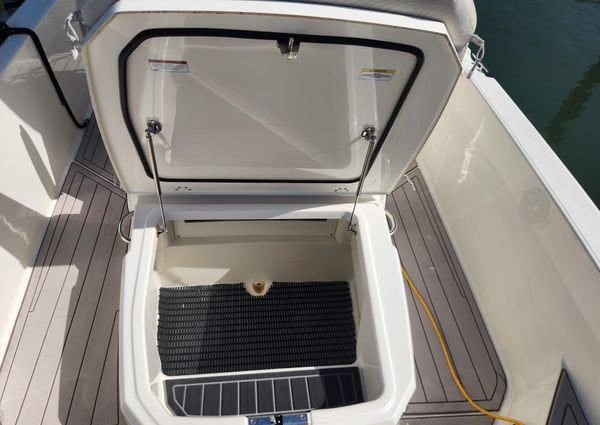 Boston Whaler 250 Dauntless image