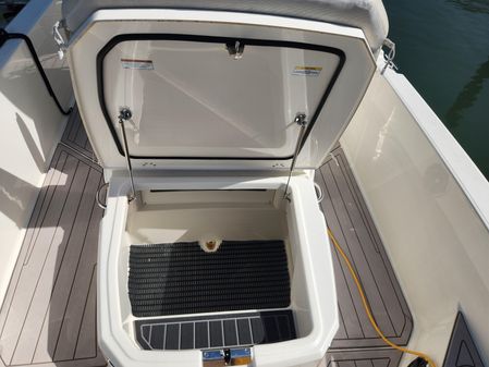 Boston Whaler 250 Dauntless image