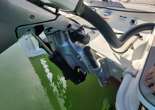 Boston Whaler 250 Dauntless image