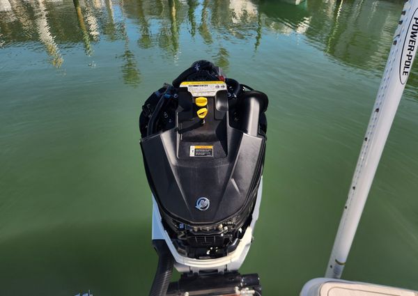 Boston Whaler 250 Dauntless image