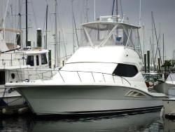 Rampage Sportfish