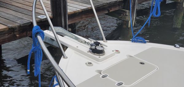 Back Cove 34 image