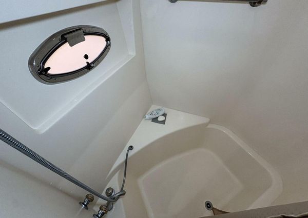 Carver 56 Voyager image