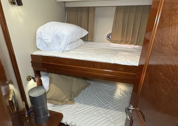 Carver 56 Voyager image