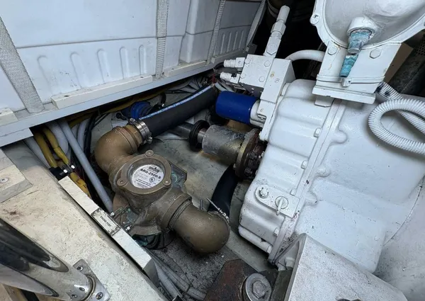 Carver 56 Voyager image