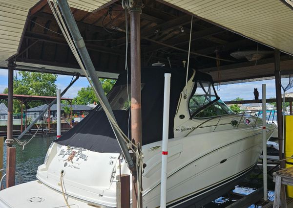 Sea Ray SUNDANCER 300 image