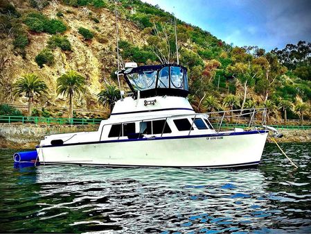 Seaway 31-LIFEGAURD-CRUISER-SPORT-FISHER image