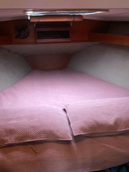Contest 35' image