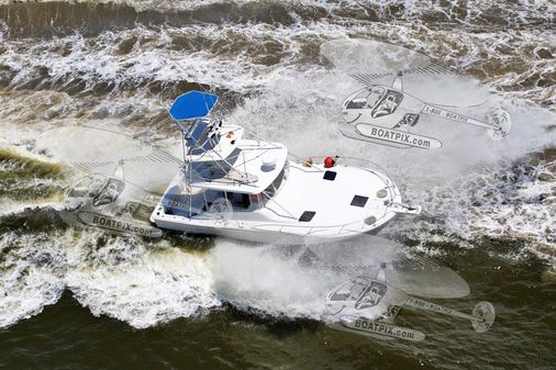 Luhrs 38-OPEN image