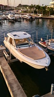 Boston Whaler 380 Realm image