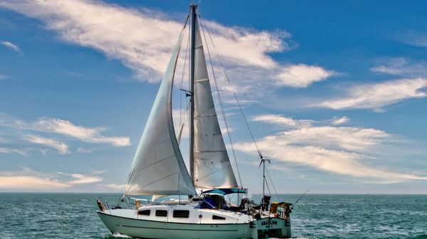 Catamaran Ocean Winds 33 